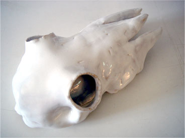 White skull, ceramic